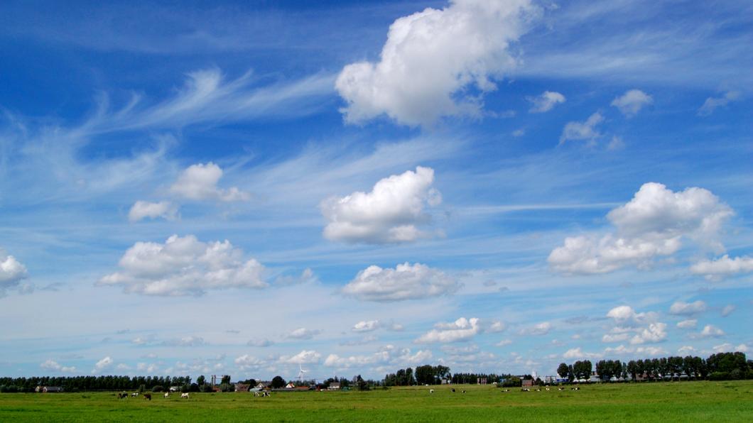 Polder_Moordrecht.jpg