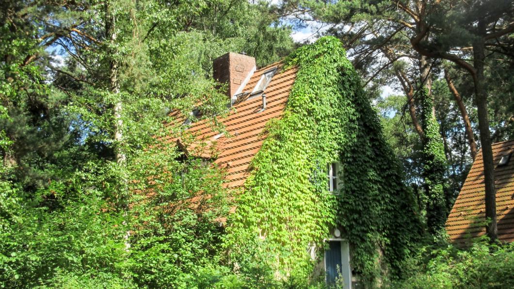groen.jpg