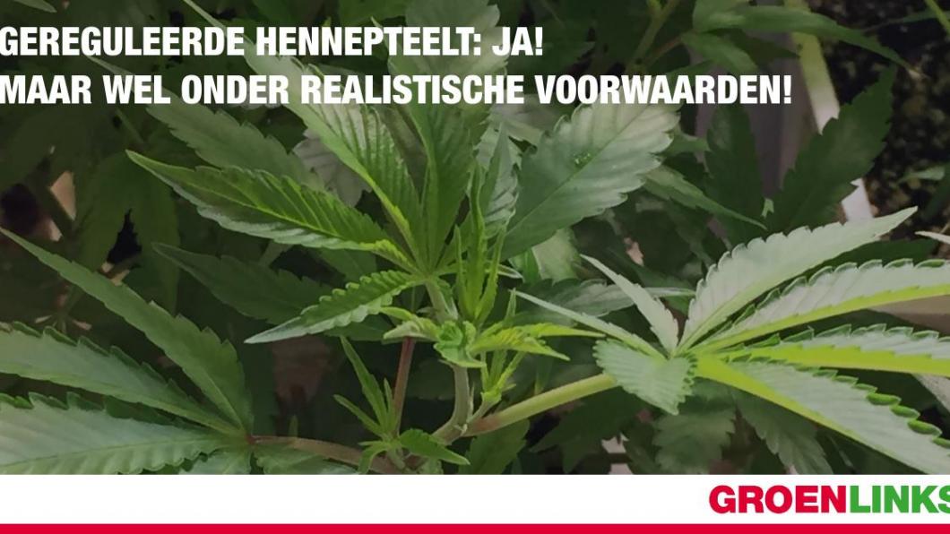 Gereguleerde hennepteelt: ja