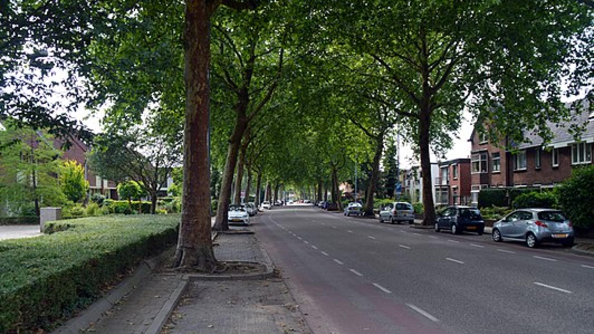 bomen