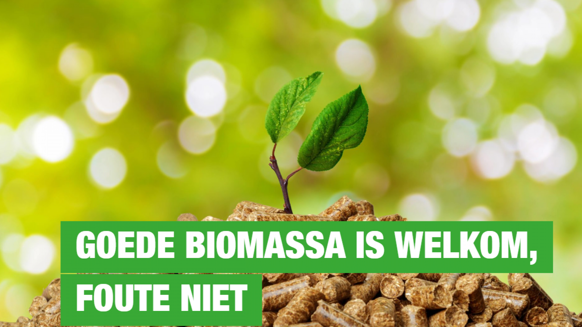 foto-groenlinks (11).png