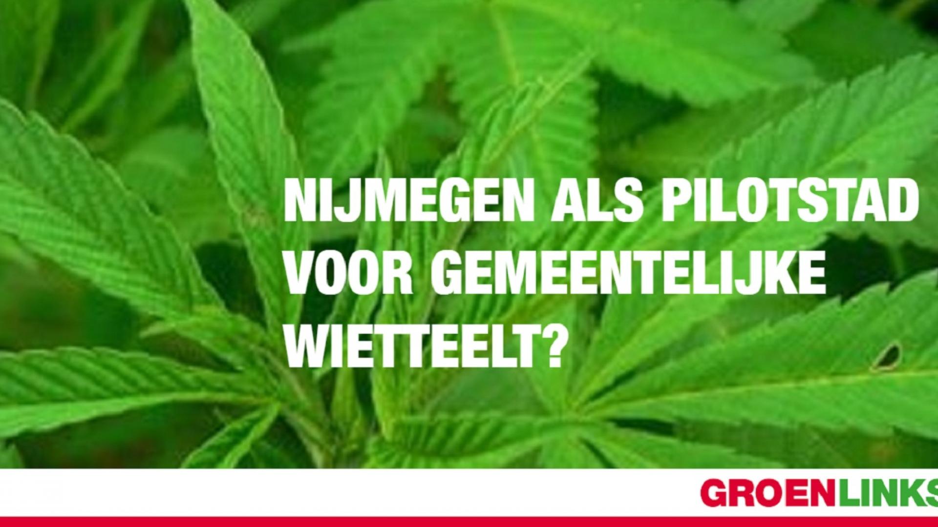 foto-groenlinks wiet.jpg