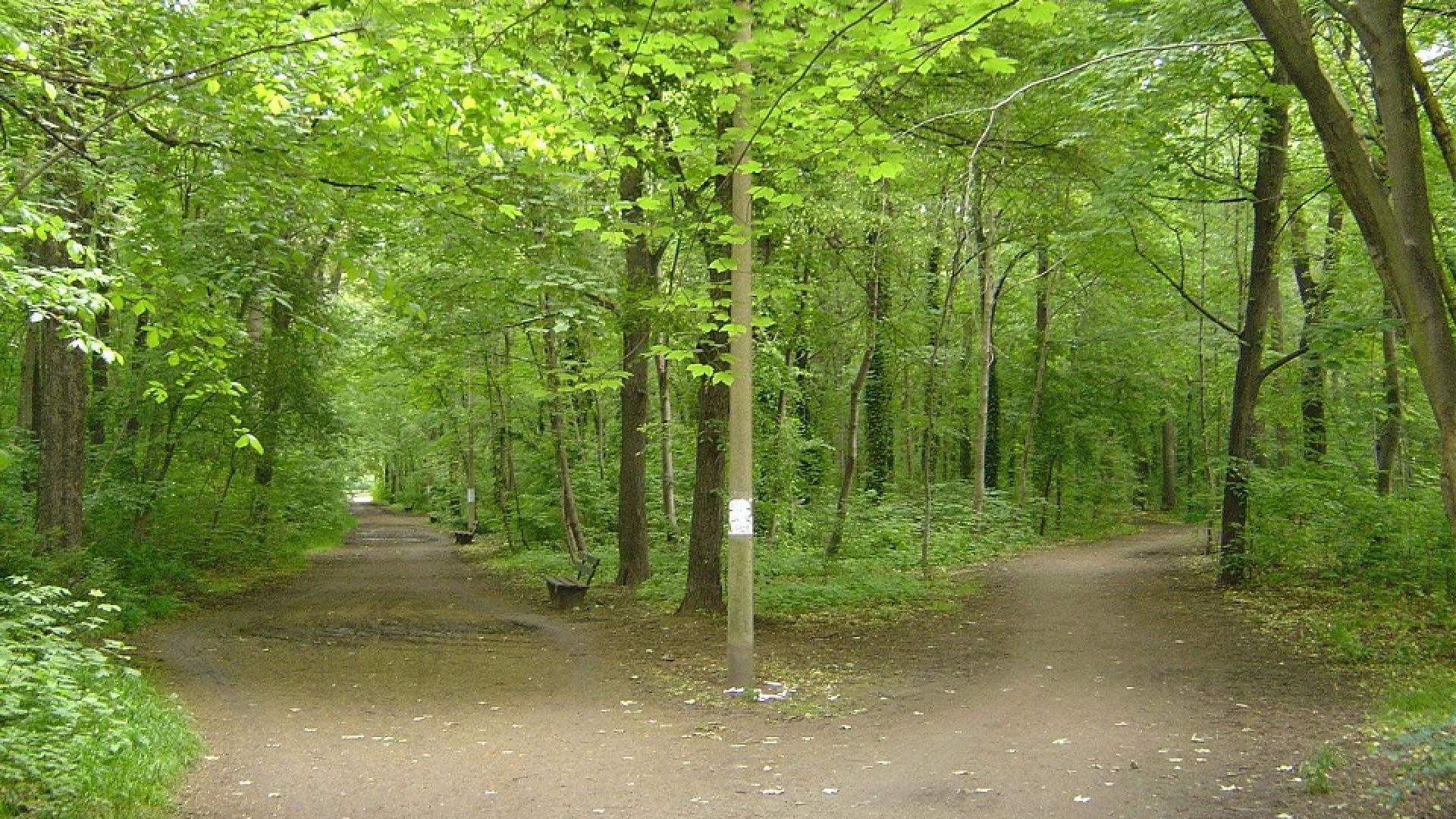 natuur.jpg