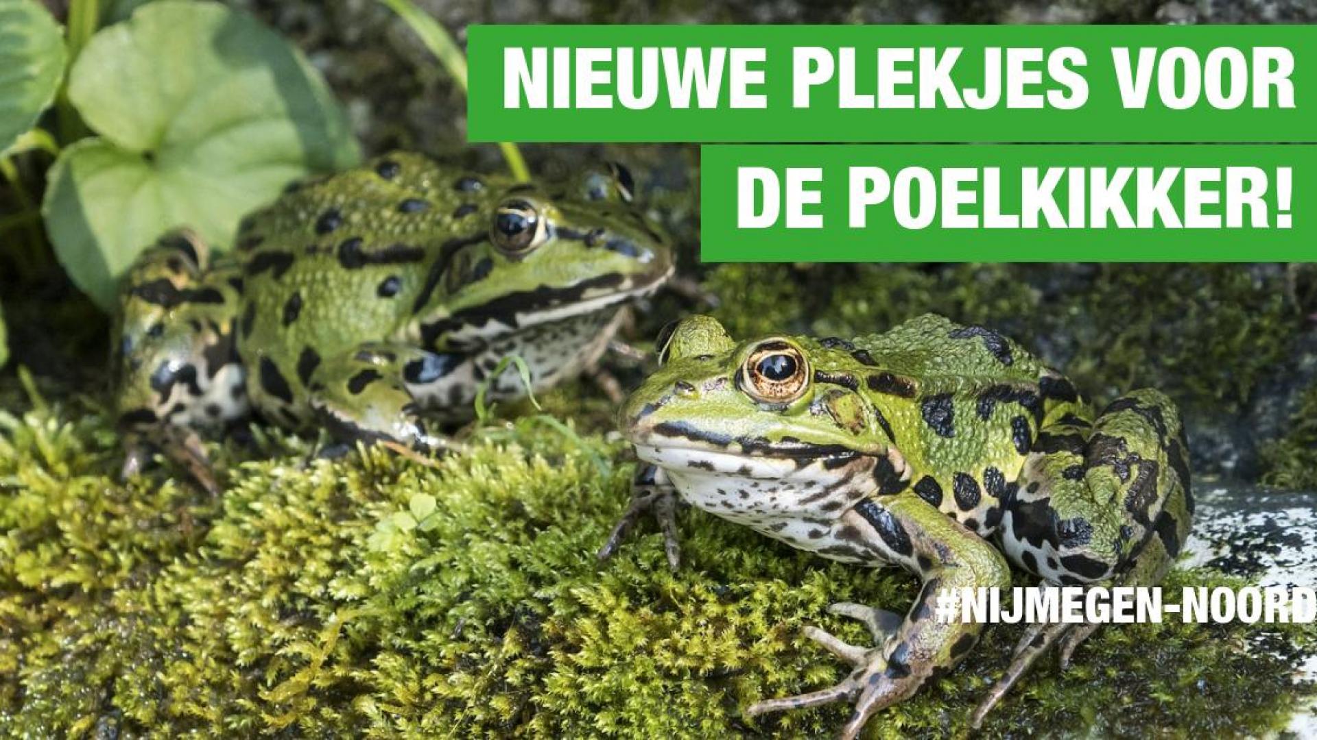 nieuwe-plekjes.jpeg