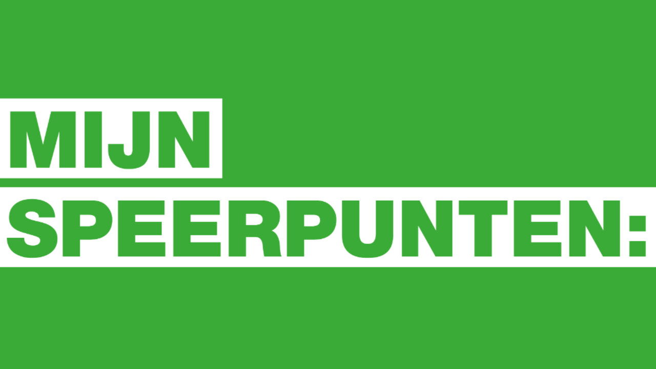 speerpunten